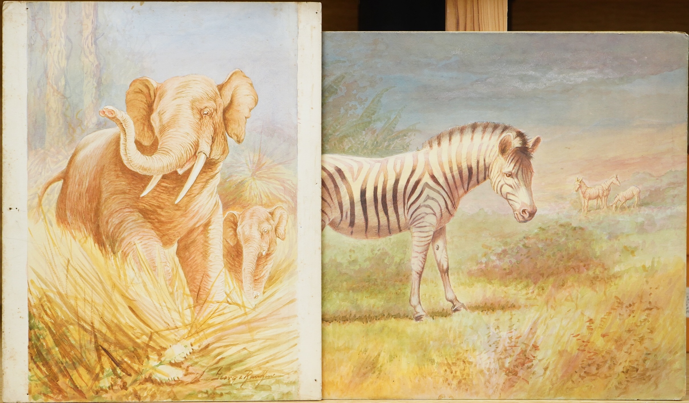George James Rankin (1864-1937), a set of four original watercolours for postcard designs, Wildlife comprising camels, zebras, elephants and giraffes, each signed, unframed, largest 27 x 37cm